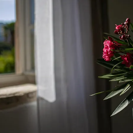 Revelin Hvar Ferienhaus *