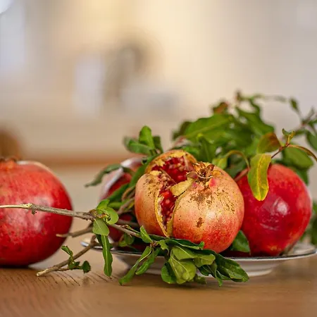 Dom wakacyjny Revelin Hvar Stari Grad (Hvar)